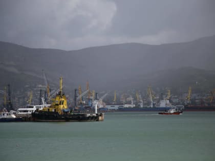 Новороссийск может стать штаб-квартирой российско-венесуэльской судоходной компании