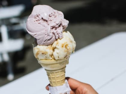 В Краснодарском крае фабрику мороженого откроют за 600 млн рублей