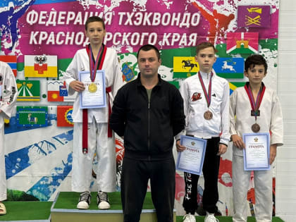 Новороссийские спортсмены завоевали награды на первенстве края по тхэквондо