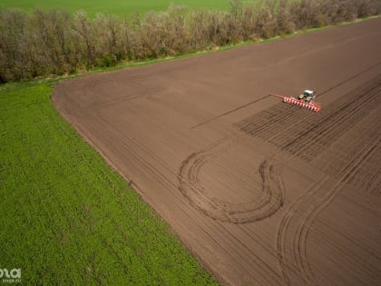Искусственный интеллект для фермеров. Аналитики оценили работу «умных» технологий «Ростелекома» в сельском хозяйстве