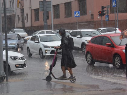 Увеличение участников дорожного движения в Новороссийске