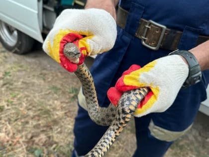 32 выезда совершили за неделю ейские спасатели