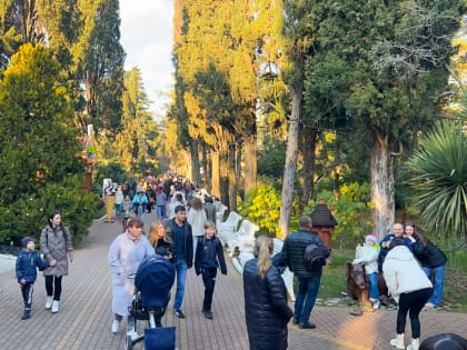 Более 5000 гостей ежедневно посещает сочинский Дендрарий