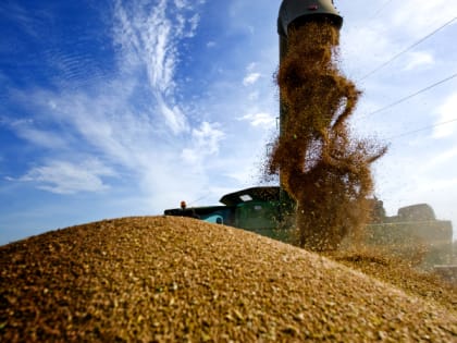 В Краснодарском крае стартовала уборочная кампания