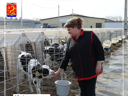 18 февраля – День животновода Краснодарского края