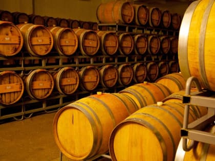 Кубань увеличивает производство винодельческой продукции на 5% в 2024 году