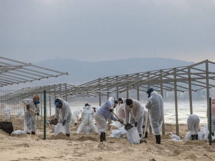 Вениамин Кондратьев: С Черноморского побережья собрали и вывезли почти 96 тысяч тонн замазученного грунта