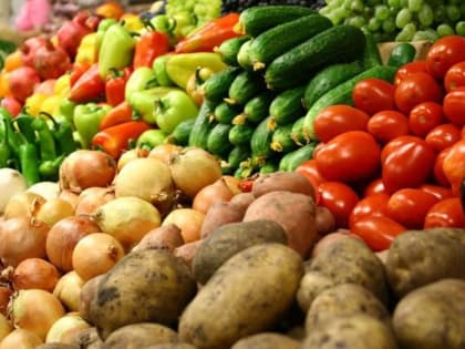 Около 10 тысяч покупателей посещают ярмарки выходного дня в Краснодаре