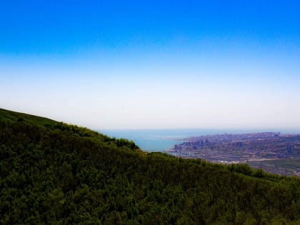 Информация о качестве атмосферного воздуха в городе Новороссийске