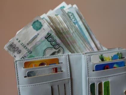 В Минфине прокомментировали предложение о конфискации наличных денег