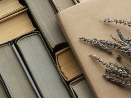 В Краснодаре пройдёт гаражная распродажа книг