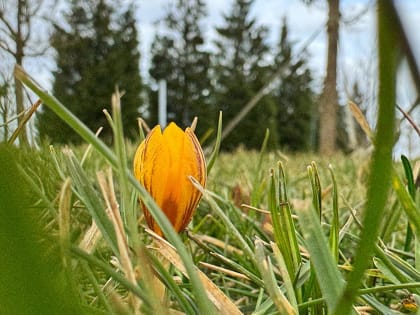 К концу недели синоптики прогнозируют на Кубани до +20