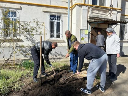 ​По инициативе депутата гордумы Андрея Арендаренко в 38-м округе Краснодара прошли несколько субботников