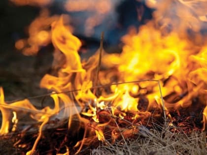 Сочинцев предупредили о высокой пожарной опасности