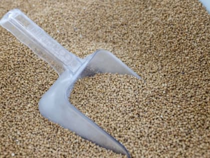 Для строительства цеха по расфасовке круп ищут инвестора в Крымском районе