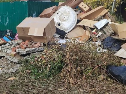 В Ейске на предстоящие выходные дни запланирован субботник