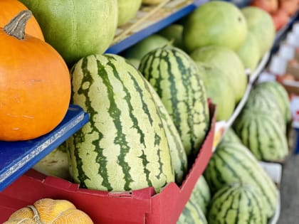 Диетолог Воронов посоветовал исключить из диеты дыни и арбузы