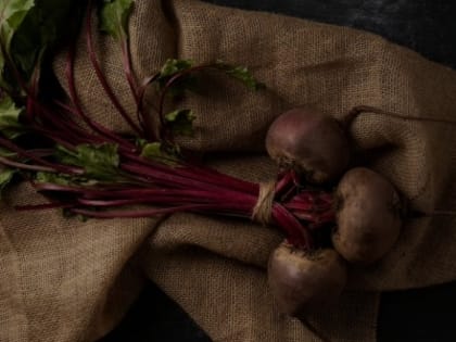 В Усть-Лабинске на предприятии увеличили среднюю урожайность сахарной свеклы