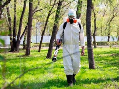 В Комсомольском парке проведут противоклещевую обработку