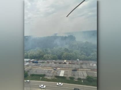 В Краснодаре потушили крупный пожар в лесополосе на Гидрострое