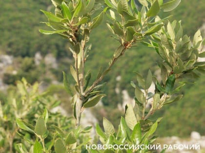 Новые инициативы для улучшения городской инфраструктуры