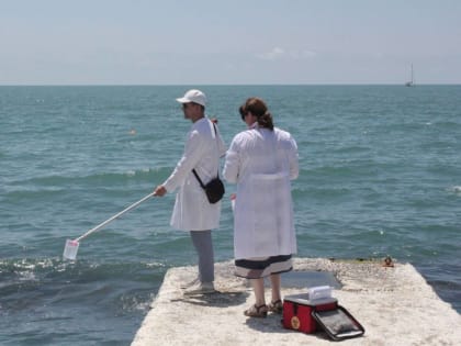 Депутат Госдумы Сергей Кривоносов: Наша задача сделать все, чтобы каждый гость увез из Сочи только самые приятные впечатления