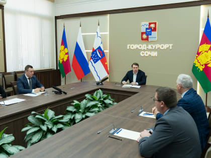 В Год экологии на компенсационное озеленение в Сочи было направлено более 115 миллионов рублей