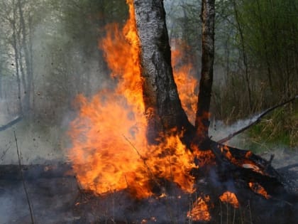 Безопасность в пожароопасный период