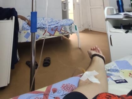 С начала 2023 года клещи покусали более 3 тысяч жителей Кубани