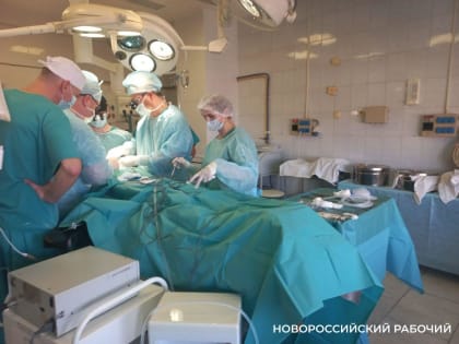 Возвращение мастер-классов в сосудистой хирургии Новороссийска