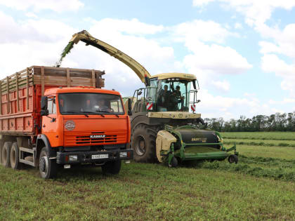 «Зеленая жатва-2023»: в «Прогресс Агро» заготавливают сено, сенаж и солому