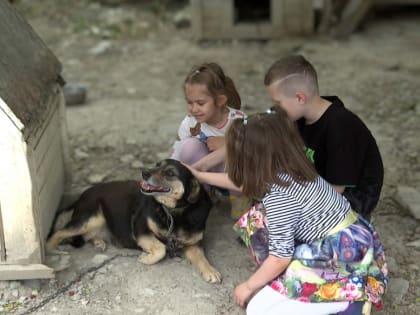 ВОСПИТАННИКИ ДЕТСКОГО САДА № 81 ОБМЕНЯЛИ  МАКУЛАТУРУ НА КОРМ ДЛЯ ЖИВОТНЫХ
