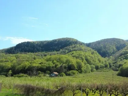 В Краснодарском крае создали еще четыре охраняемые природные территории