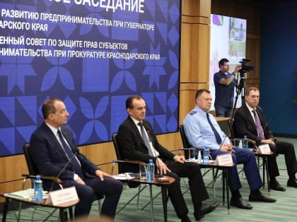 Сергей Дормидонтов принял участие в заседании совета по развитию предпринимательства