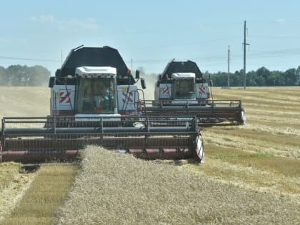Идёт уборка зерновых и зернобобовых культур