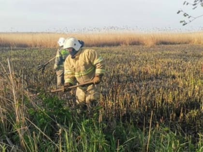 Почти 100 человек тушили крупный пожар в Анапе