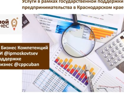 Услуги в рамках государственной поддержки предпринимательства на территории Краснодарского края