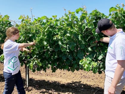 Визит депутата Госдумы Ивана Демченко в Темрюкский район