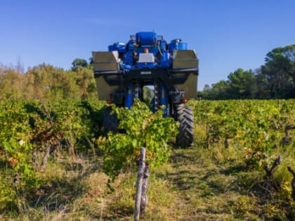 На Кубани запустят уникальное производство виноградных тракторов