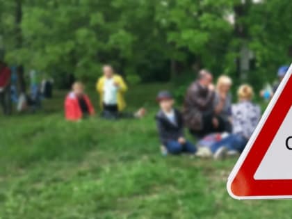 Сезон клещей: как защититься