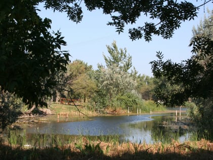 В Анапе клещи покусали 95 человек, в том числе 39 детей