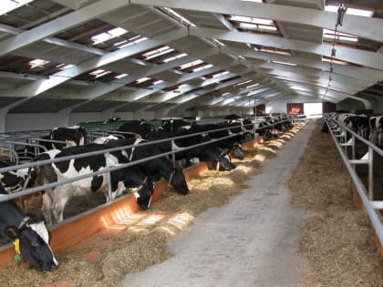 Уникальный для Кубани селекционно-генетический центр построят к 2027 году