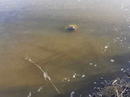 Труп 35-летнего мужчины найден в реке Динского района (18+)