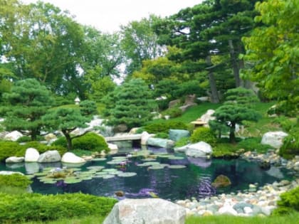 В Сочи на компенсационное озеленение направили свыше 115 млн рублей