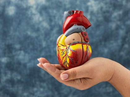 Бояться нечего: врач назвал пять признаков здорового сердца
