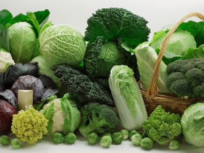 Онкологии не будет: продукты, которые борются с возникновением опухоли