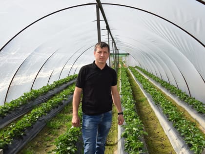 Безвозмездную денежную помощь в 2024 году получат предприниматели Кубанского сельского поселения