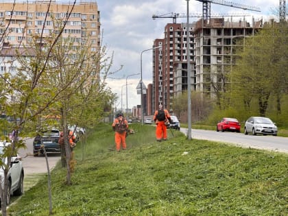 Более 750 гектаров сорной растительности выкосили в краевой столице