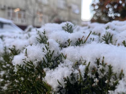 Зимние погодные условия в Краснодаре
