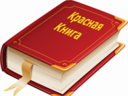 О запрете деятельности, ведущей к сокращению численности растений занесенных в Красную книгу!    
